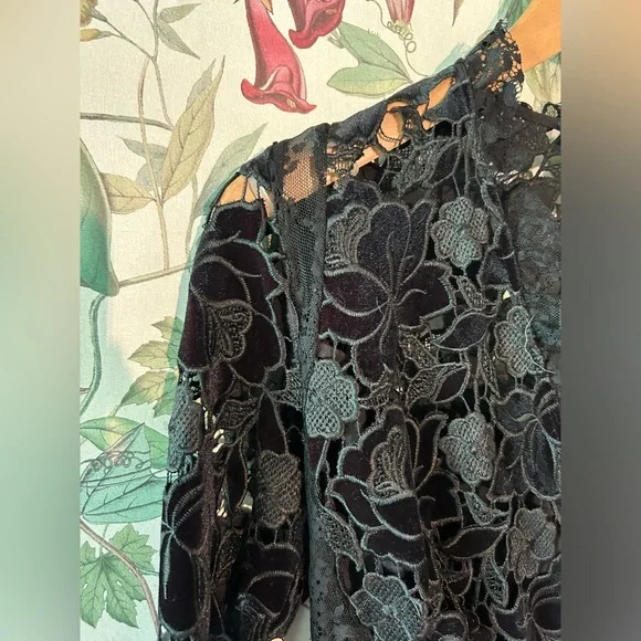 BNWT Velvet And Lace Dress MSRP 398.00 - Picture 4 of 4